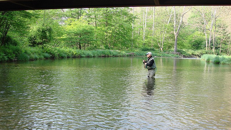 Bob on Cross Fork.JPG